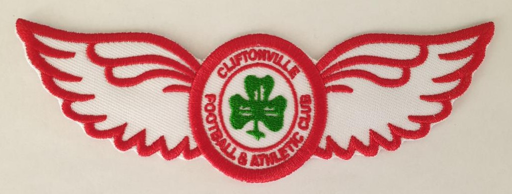 Sew-on Wings patch