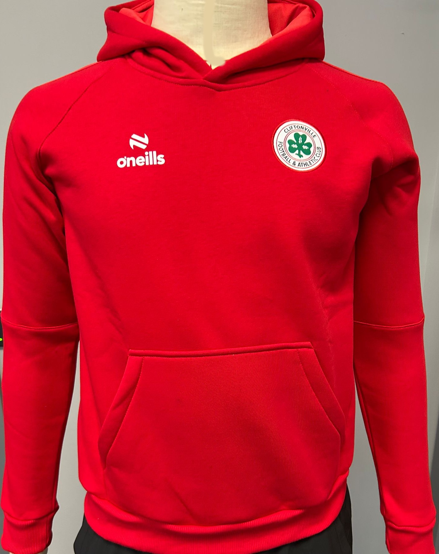 Travel Hoodie (small)
